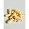 GLUTACETYL 90 gélules de puissants antioxydants