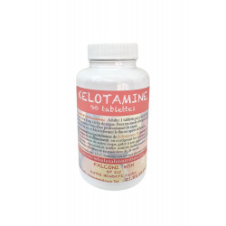 Kélotamine IV 90 tablettes