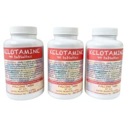 Kélotamine 90 Tablettes - 28 Vitamines, Minéraux & Acides Aminés | Multivitamines Complètes